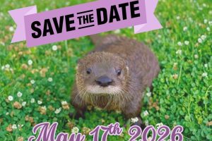 Gideon Putnam Hosting North Country Wild Care Gala