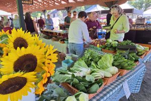 Summer Market 