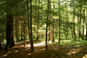 Saratoga PLAN Earns National Recognition