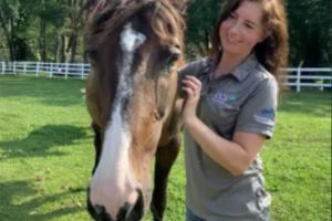 Therapeutic Horses of Saratoga Dedicate Round Pen to Honor Dana Panetta