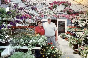 Brookside Nursery: 50 Years of Growing with the Community