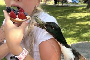 Photo of the Week Summer 2026