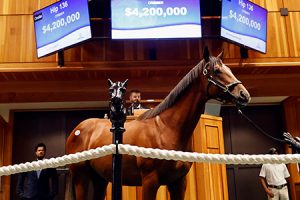 Sales Record Smashed at the 105th Saratoga Sale