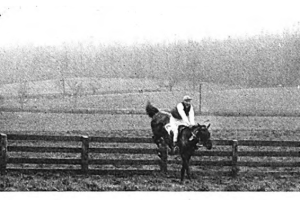 Saratoga’s Premier Jump Race