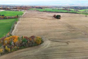 Butlers Ensures Family Farm Stays a Farm