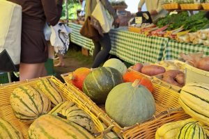 The Organic Divide: 
