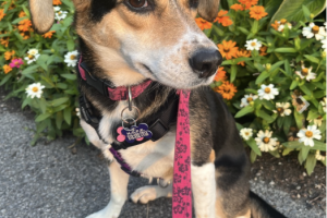 Meet Alana!!
