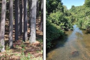 Memories of Sand Hill Road 