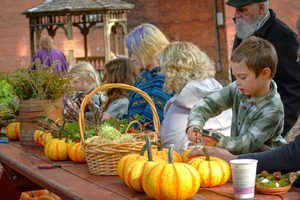 Save the Date: Waldorf School of Saratoga Springs Autumn Festival